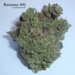 Banana OG