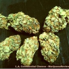 Confidential Cheese