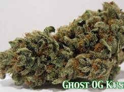 Ghost OG