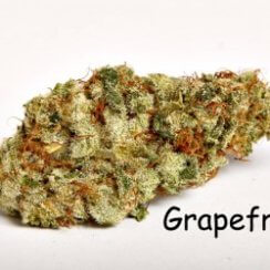 Grapefruit