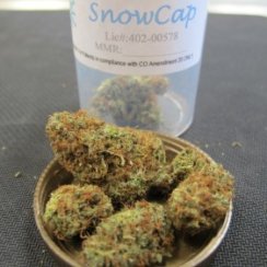 Snowcap