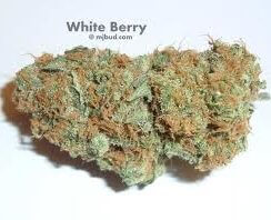 White Berry