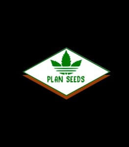 Plan Seeds Отзывы