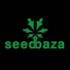 SeedBaza Отзывы