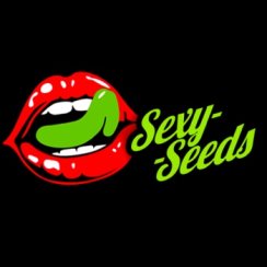Sexy Seeds отзывы